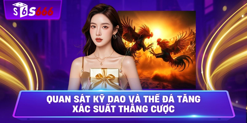 Quan sát kỹ dao và thế đá tăng xác suất thắng cược