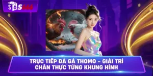 Trực Tiếp Đá Gà Thomo - Giải Trí Chân Thực Từng Khung Hình